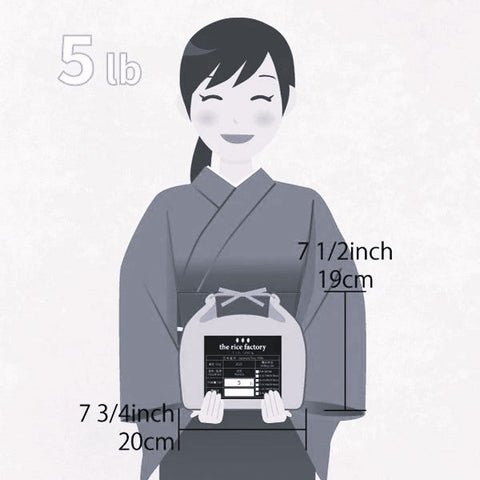 KOSHI IBUKI - Niigata