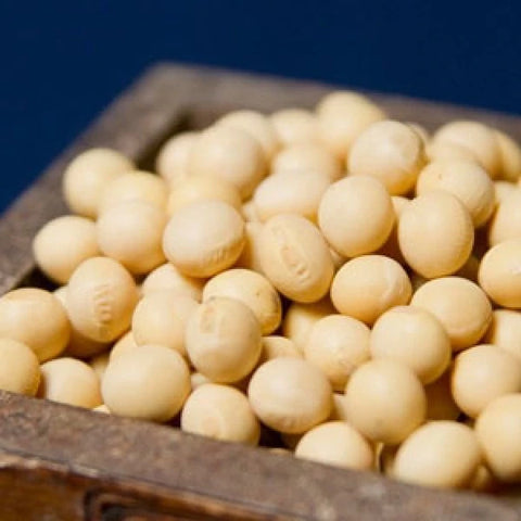MARUKAWA Organic Soy